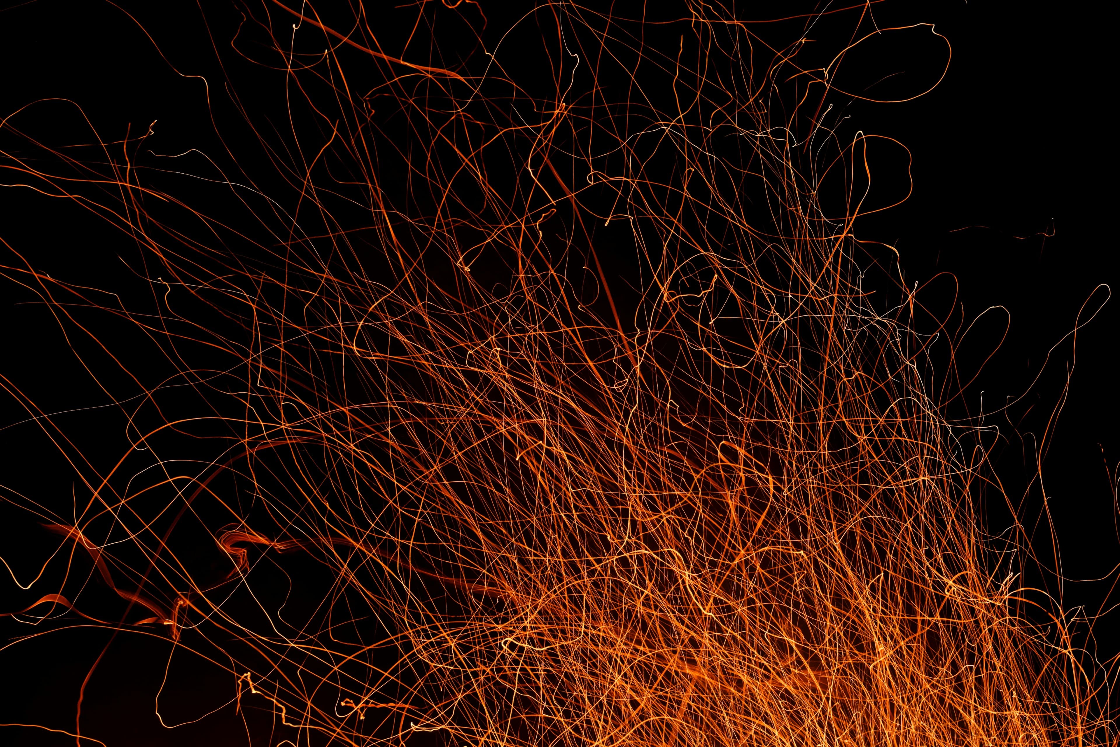 banner-image
